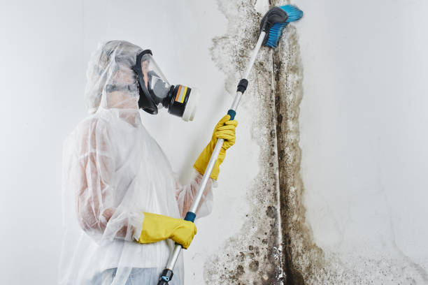 Richland Hills, TX Mold Inspection, Removal & Remediation Company